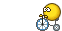 bike5